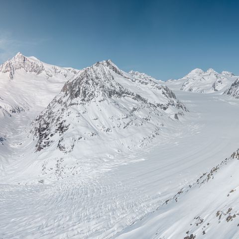 Aussicht auf den Grossen Aletschgletscher im WInter vom Eggishorn 