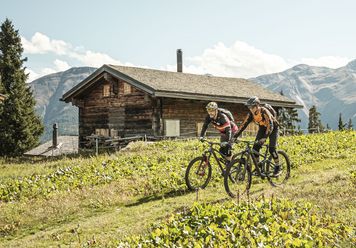 Mountainbike in der Aletsch Arena - Fiescheralp-Fiesch