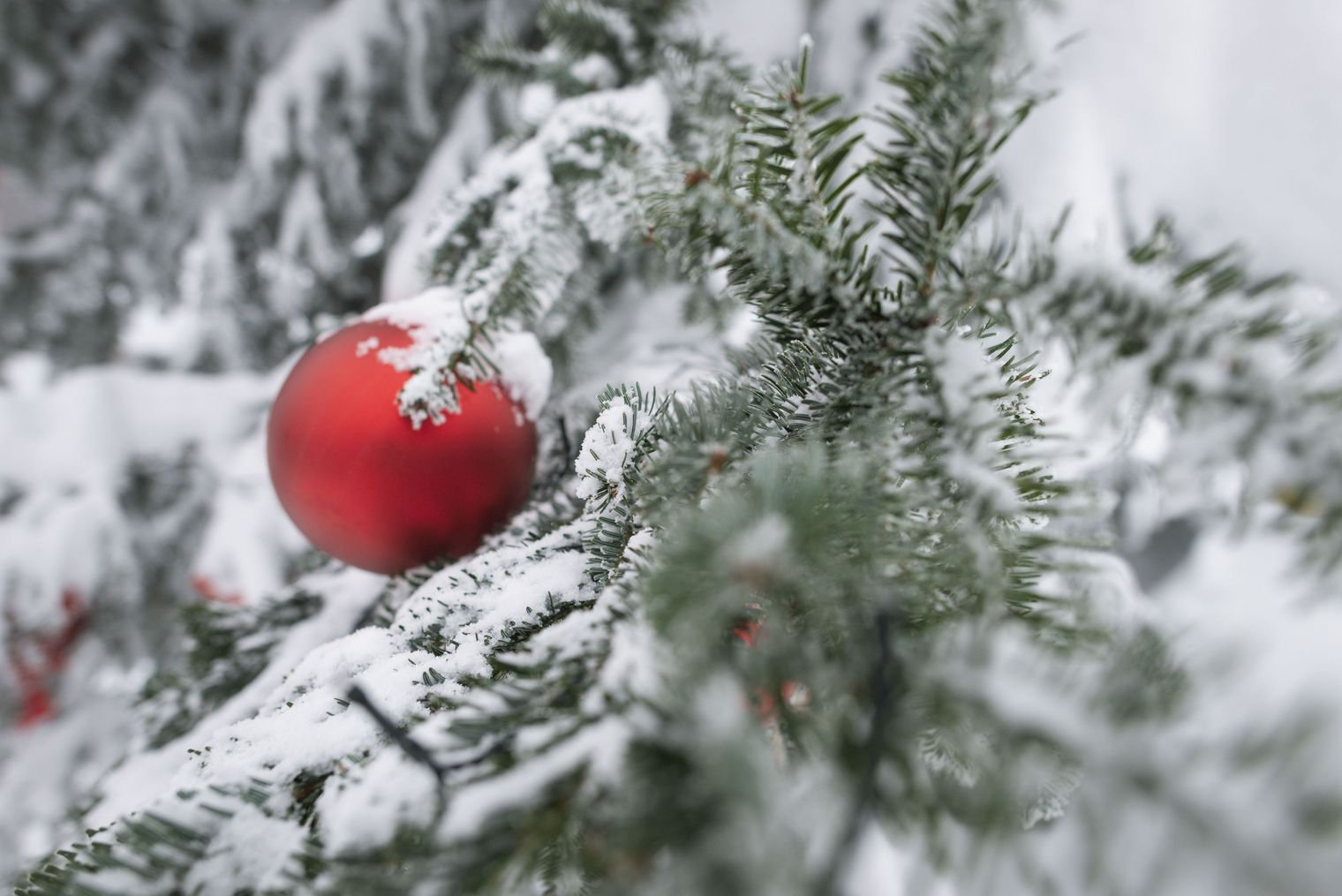 Weihnachten in der Aletsch Arena