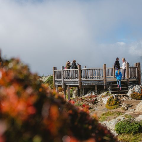 View Point Moosfluh im Sommer