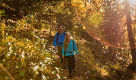 Hiking couple in the Aletsch Forest in autumn sunlight on a narrow forest path