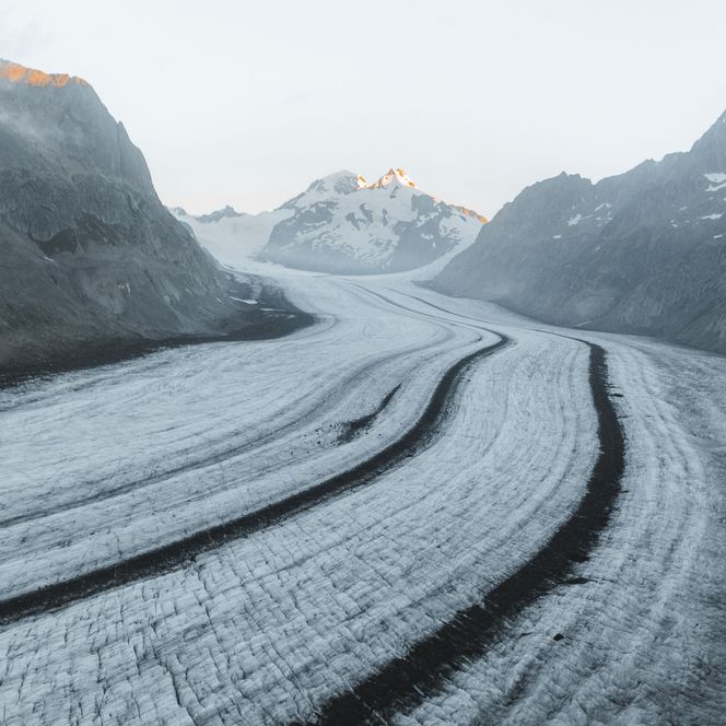 Dark central moraines run in curved patterns across the ice, typical of the Great Aletsch Glacier.