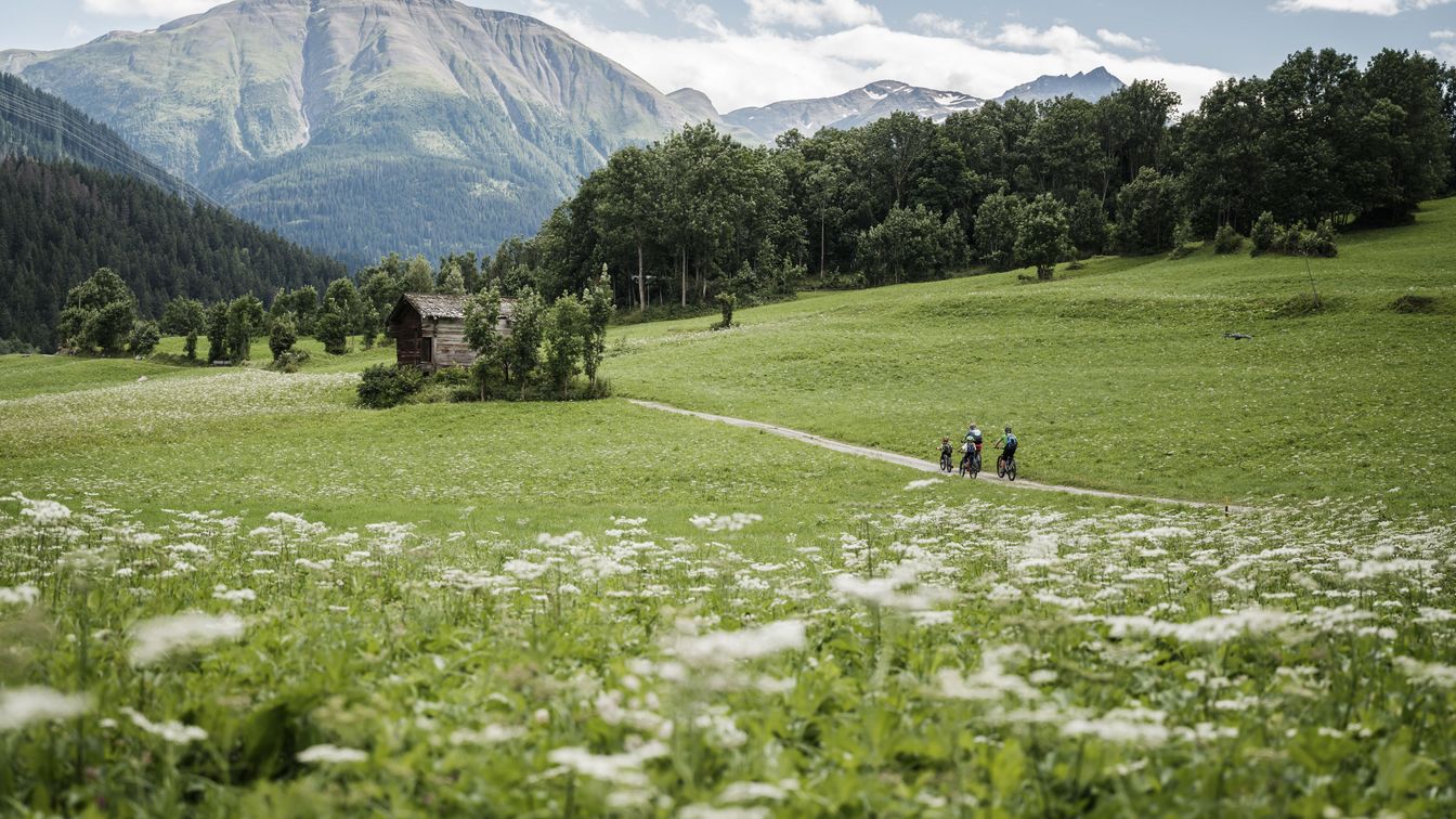 Eine Familie fährt mit Mountainbikes auf einem Weg durch das Fieschertal, vorbei an blühenden Wiesen und einer beeindruckenden Bergkulisse.