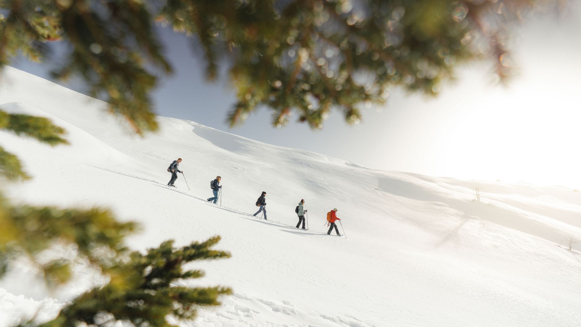 Offres de groupe populaires dans l'Aletsch Arena : cinq personnes montent une pente de neige vierge lors d'une randonnée en raquettes.