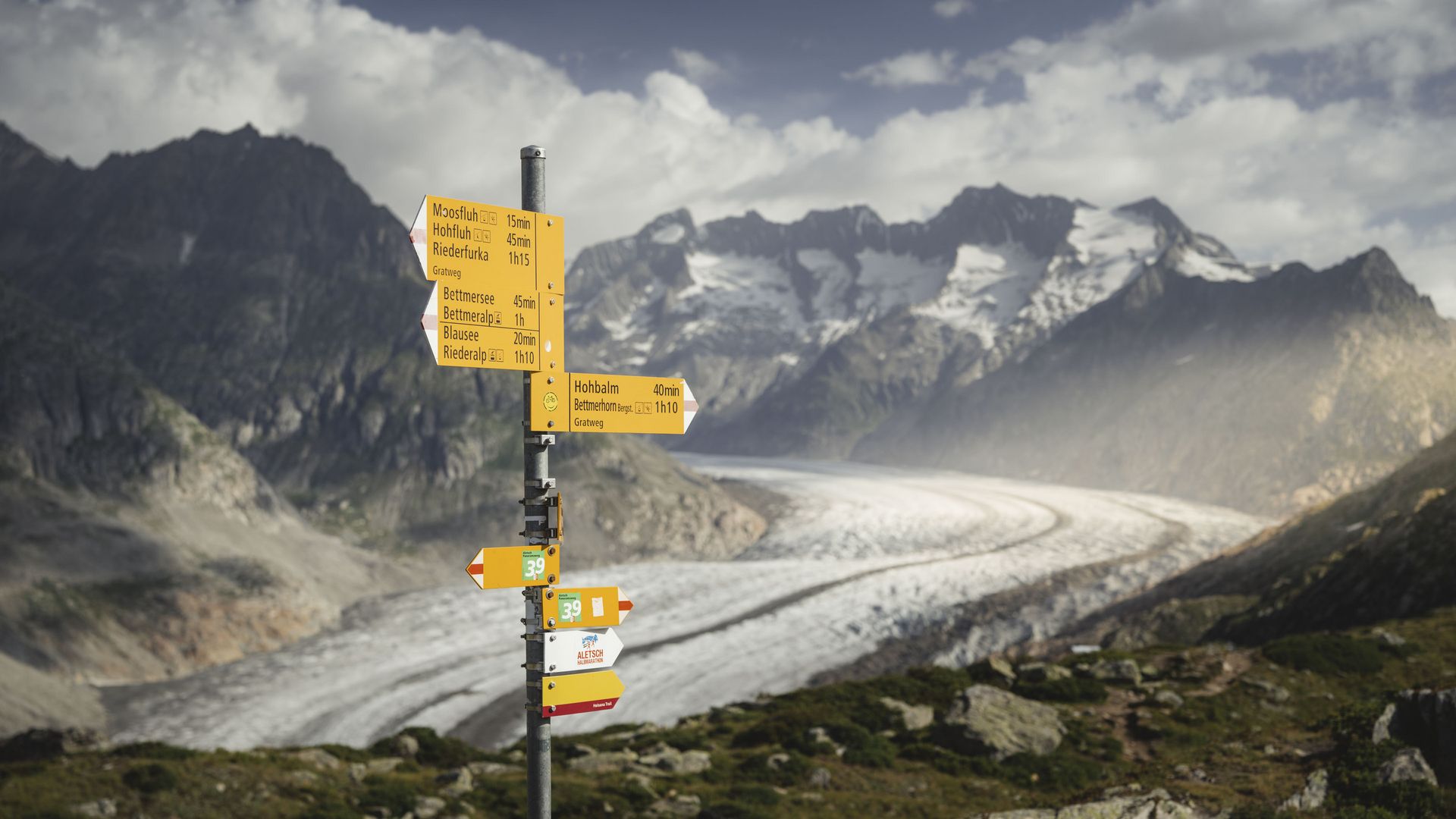 Yellow signposts show the routes for hiking in the Aletsch Arena, with the great ice flow stretching out in the background.