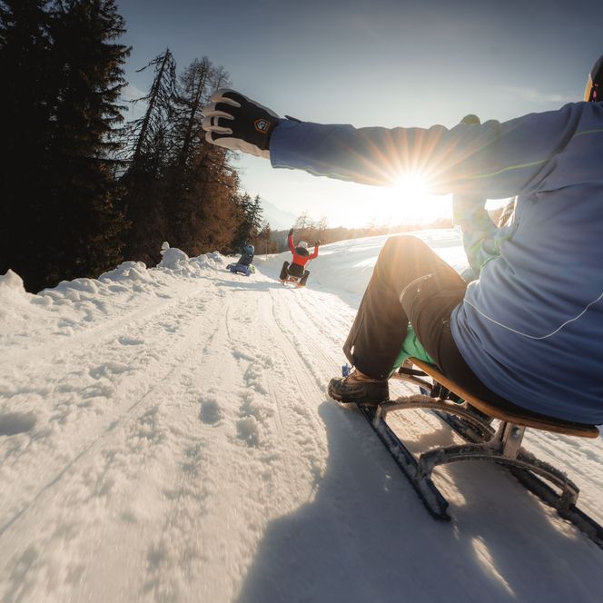 A person hurtles down the slope towards Lax Wallis on a wooden sledge in the backlight of the low sun.