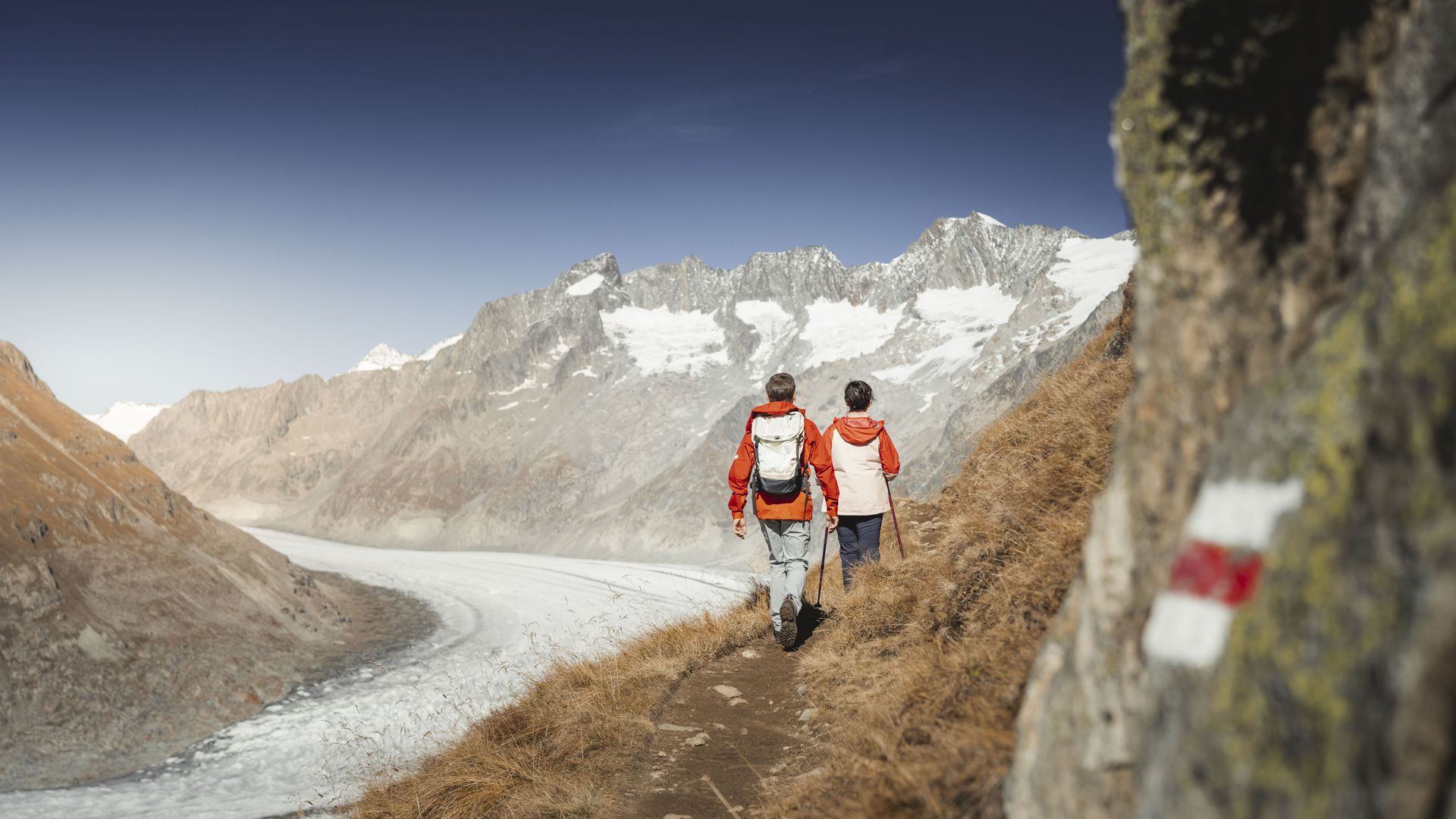 Herbstwanderung am Grossen Aletschgletscher