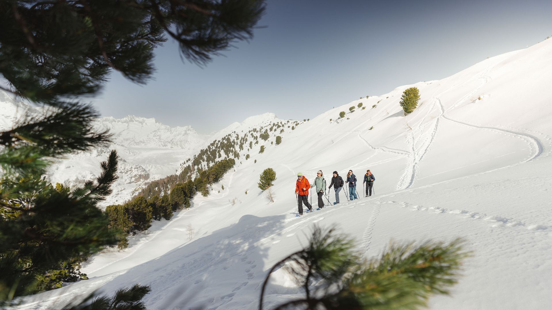 En hiver, un groupe de cinq personnes se promène en raquettes à neige sur une pente ensoleillée de Riederalp, en Suisse.