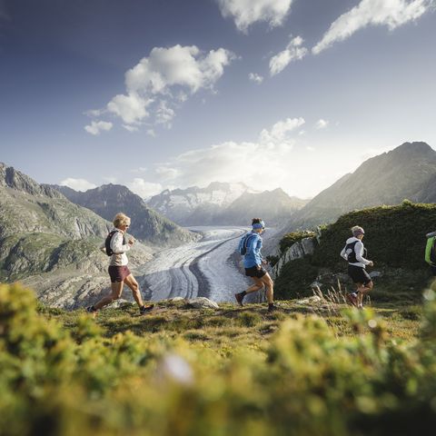 Trailrunning in der Aletsch Arena