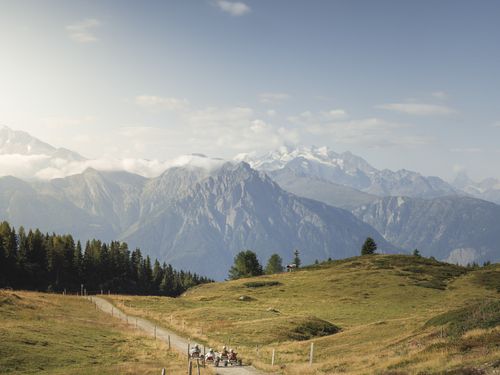 Nach der Arbeit im Coworking Riederalp fahren Personen mit Mountaincarts auf einem Schotterweg in den Alpen.