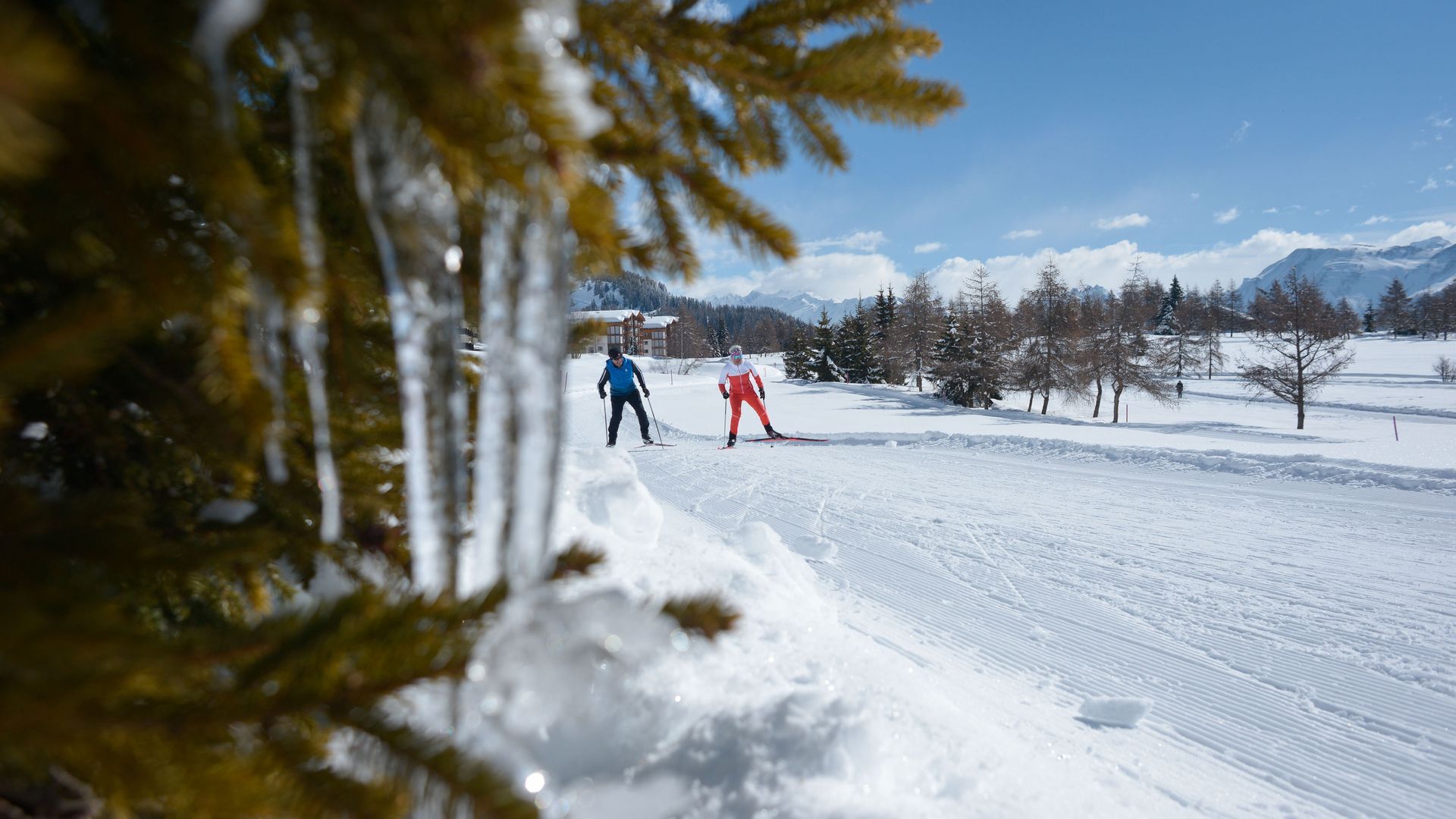 Langlauf auf der Riederalp in der Aletsch Arena 